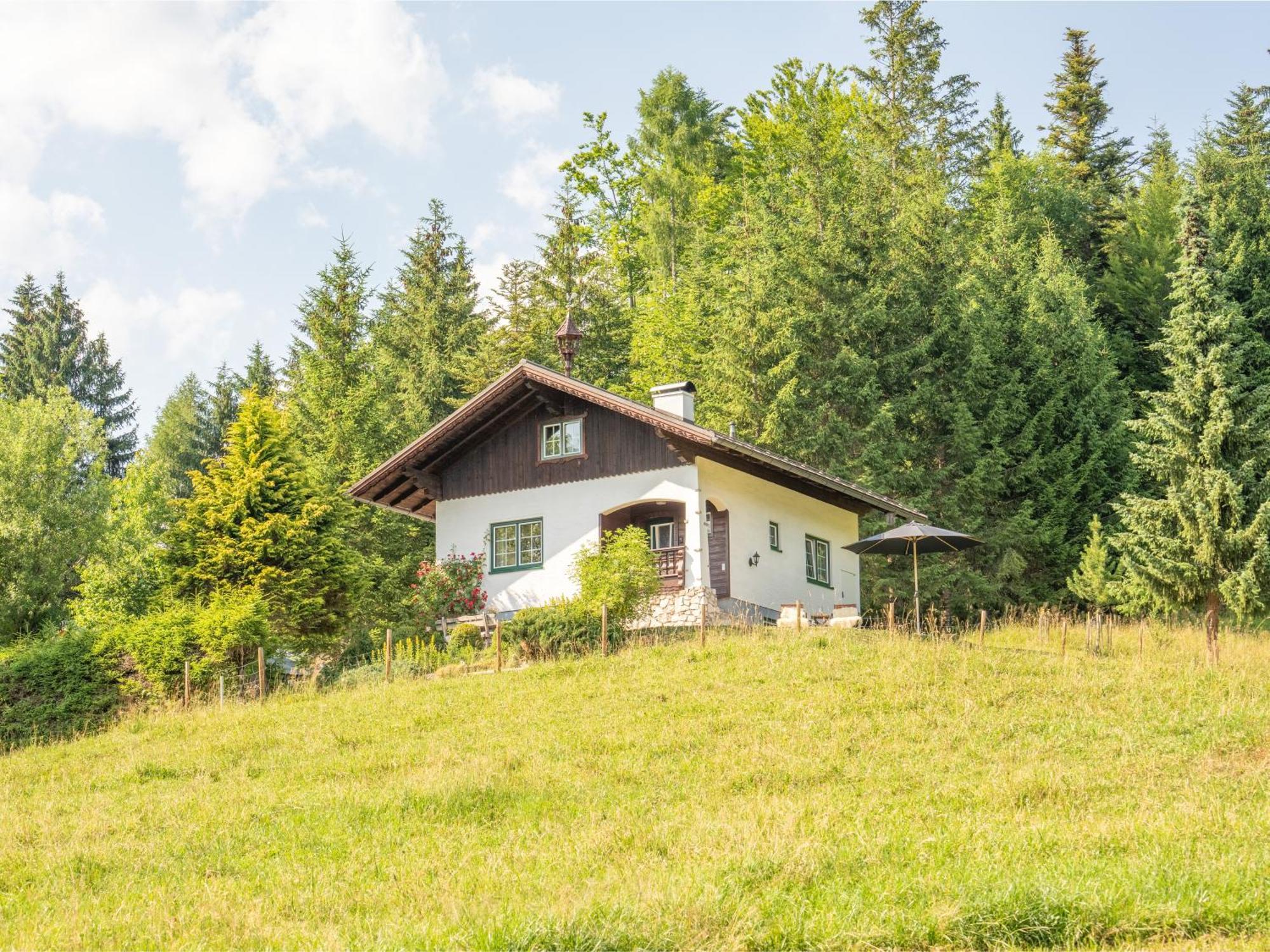 Strickerl Villa Bad Goisern Exteriör bild